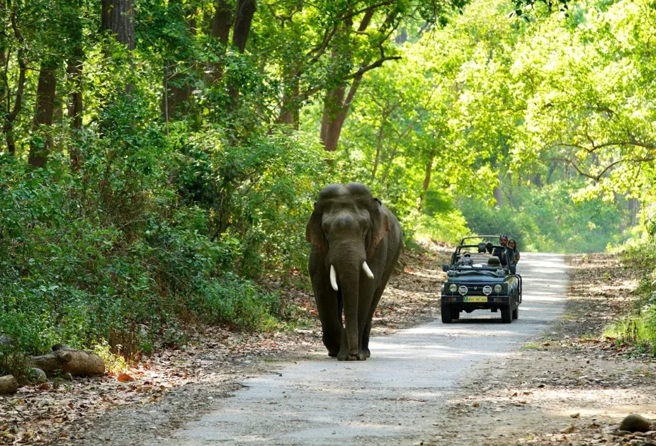 Haridwar Rishikesh Mussoorie Nainital Corbett Package