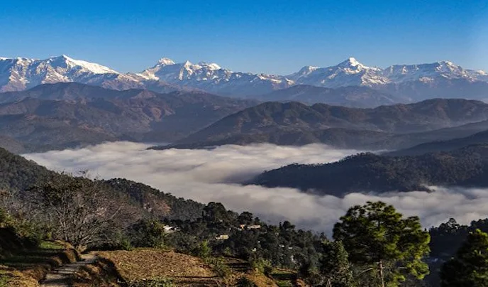 Nainital Almora Kausani Corbett Tour Package