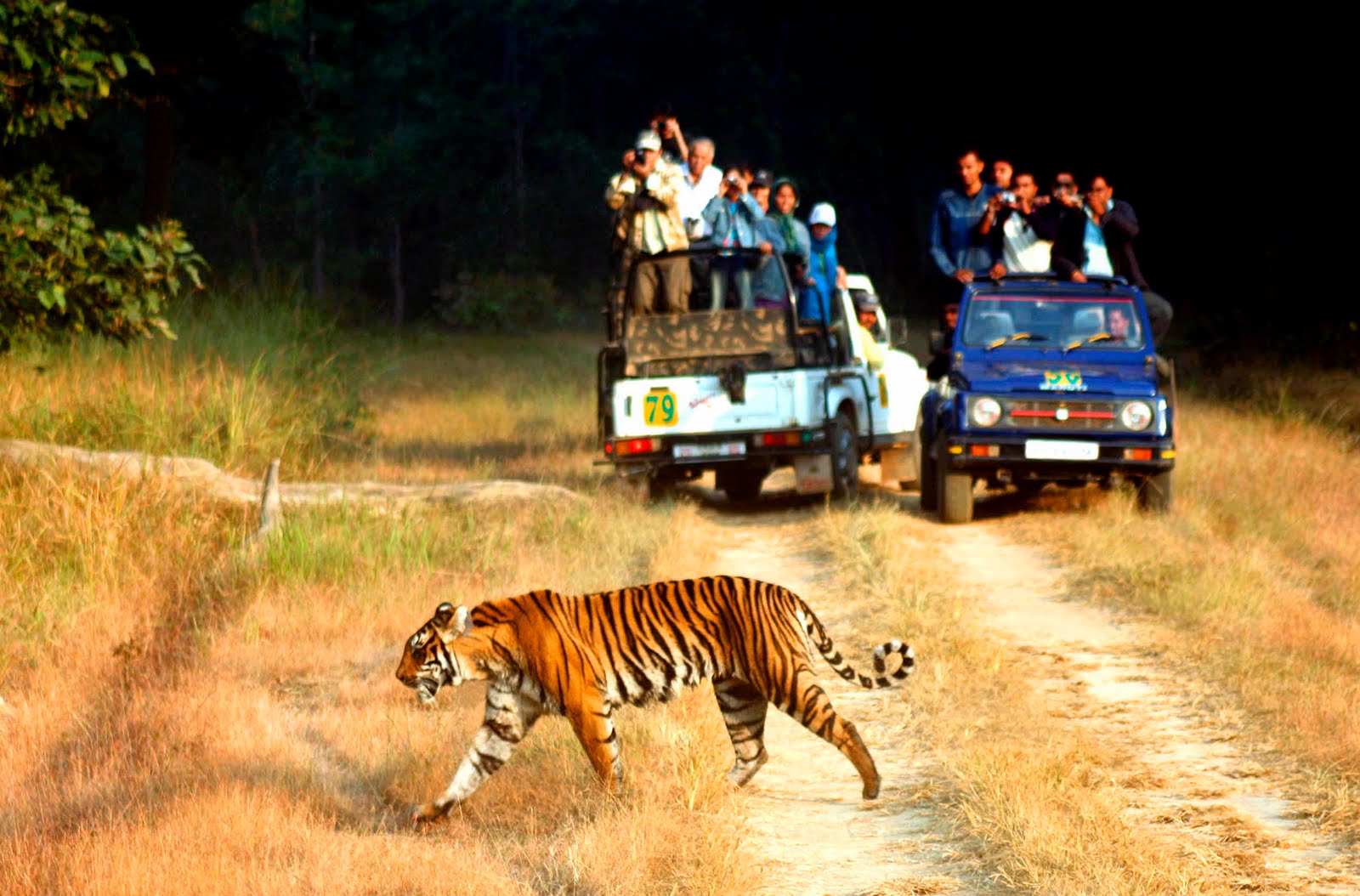 Nainital Kausani Corbett Tour Package